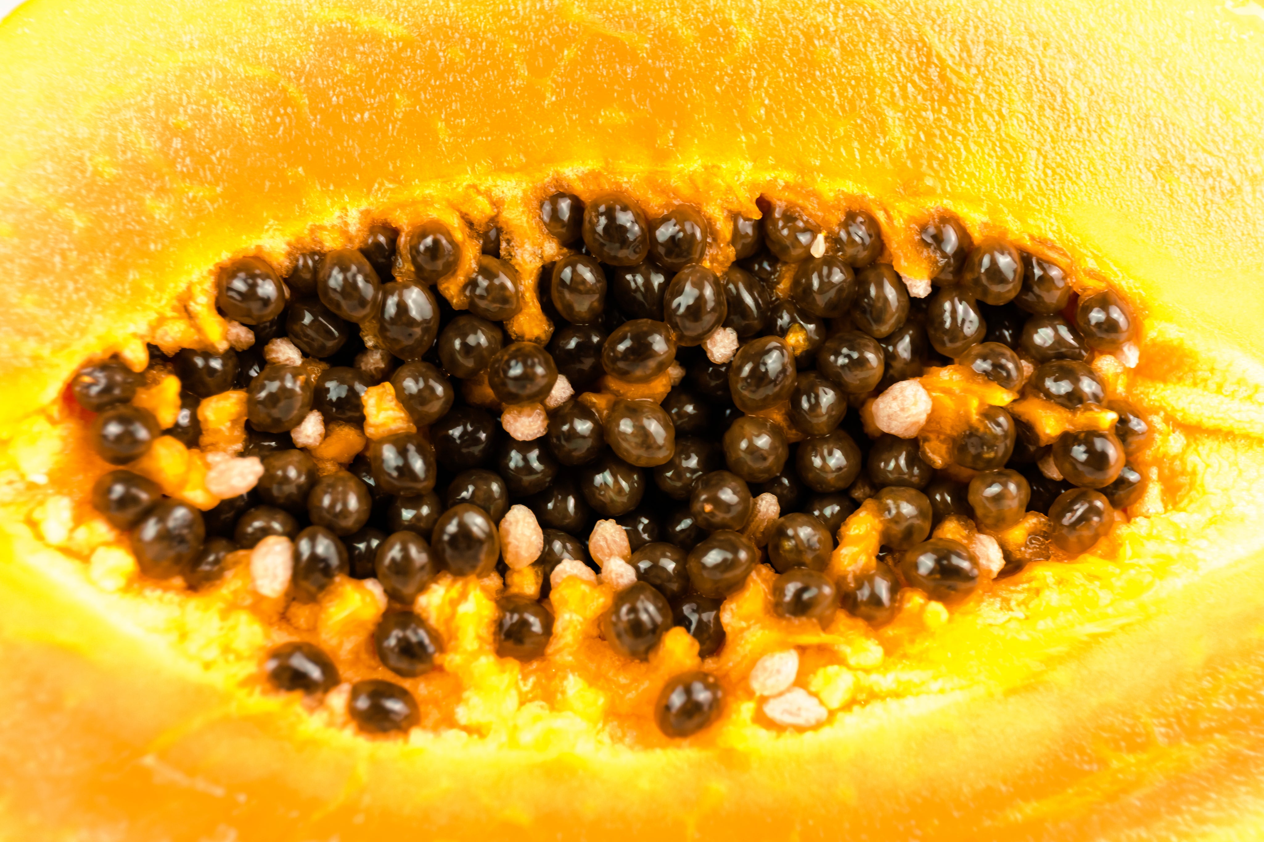 Papaya Fruit Extract